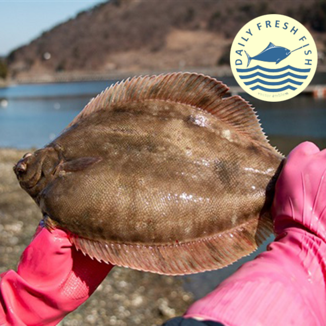 살이 단단하고 쫄깃한 식감에 은은한 단맛이 살아있는 봄철 별미 봄도다리, 1박스, 봄도다리 (가열조리용) 3~4미+ 쑥 40g