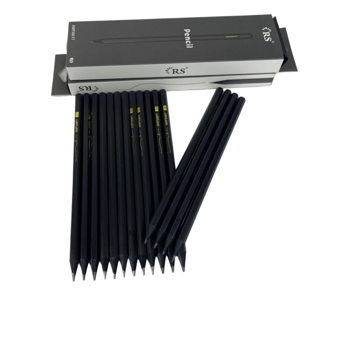 skansol 프리미엄 블랙우드 연필 2B, 20개입