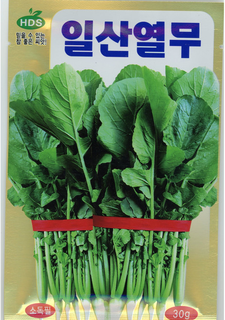 열무씨앗 일산열무30g 대농종묘, 1개
