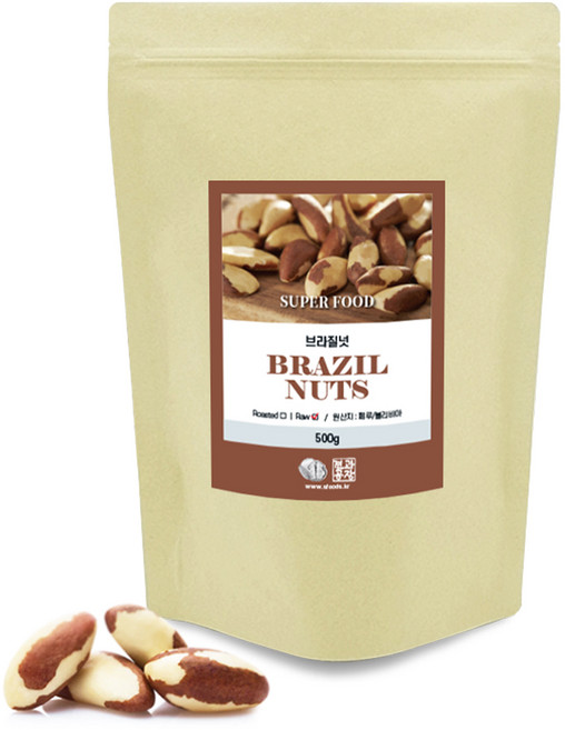 [견과공장] 브라질너트 A등급 MG 500g 1봉, 1개