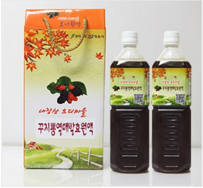 내장산오디마을 꾸지뽕열매 발효원액, 1L, 4개