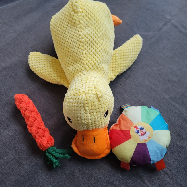 반려동물 강아지 고양이 애착 삑삑이 오리인형 터그놀이 3종, 1세트, B. 노란꽥꽥이