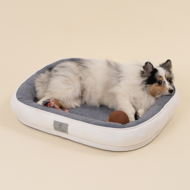 펫앤마마 겨울 강아지 슬개골보호 극세사 베개형 방석 커버분리형, White(화이트), 1개