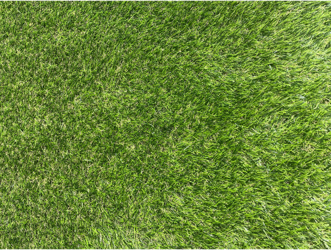 柔絲特密超仿真人工草皮, 秋草, 1個