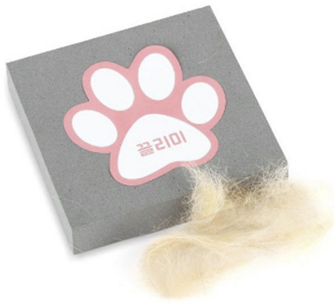 강아지털청소기 개털청소기 고양이털제거기 고양이빗, 단일옵션, 1