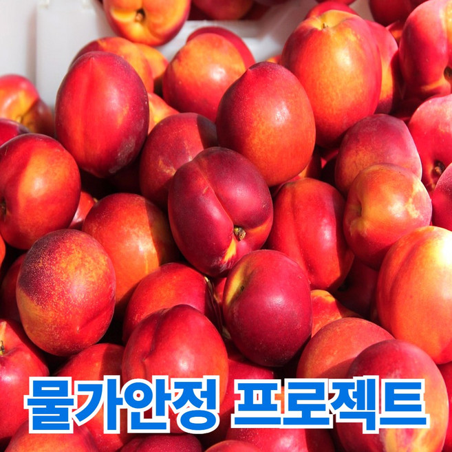 청담농수산 산지직송 당도선별 오월도 천도복숭아, 1개, 중대과 3kg (39과내외)