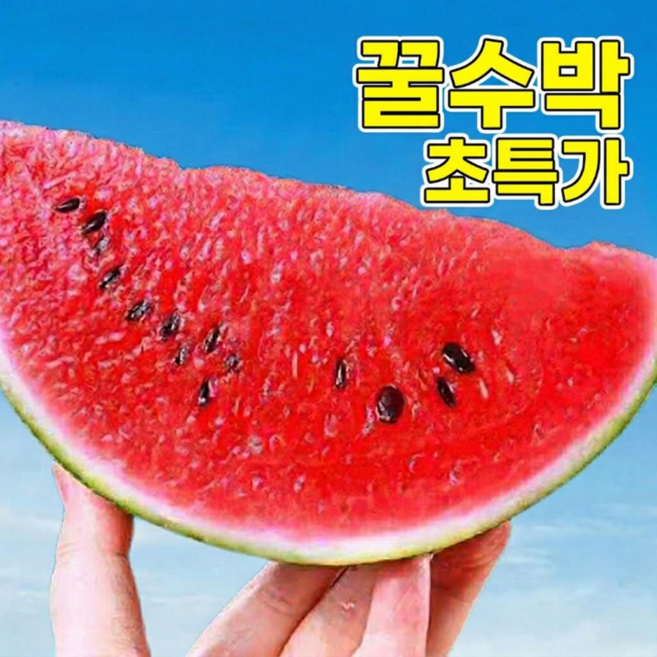 [초초특가] 꿀수박 당도폭발 넘사벽 하우스수박, 1박스, 5kg