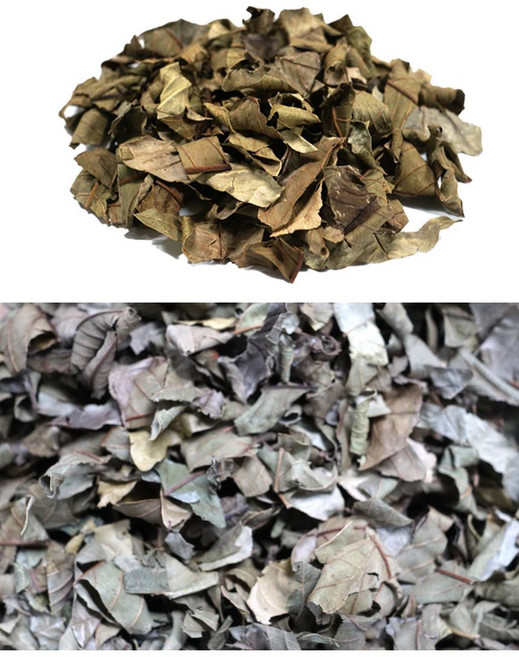 구아바잎/인도네시아산 8kg, 1개