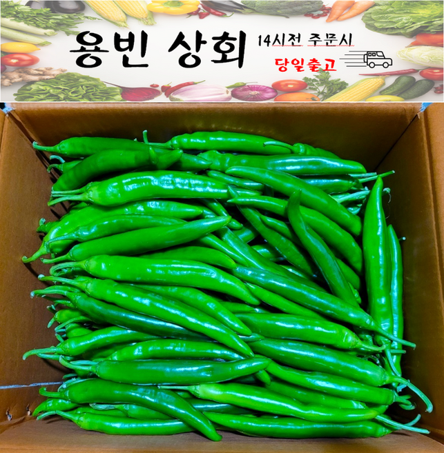 ( 용빈 상회 ) 국내산 아삭이고추 오이고추 오이맛고추 (특)등급 1kg내외 2kg내외 10kg내외, 1개, 2kg