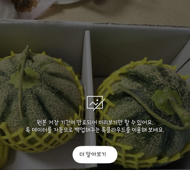 메론 칸달로프 하미과 노을 국산 신선도 신선식품 과일류 정성 5kg, 1개