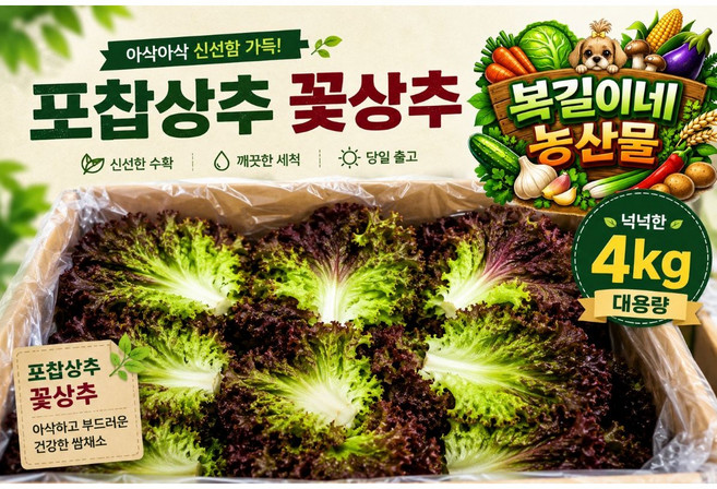 [복길이네농산물] 국내산 상추 4kg 포찹 꽃상추 1박스