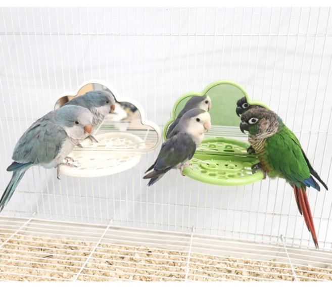 앵무새 거울 횃대 포레깅 구름 장난감 화이트, 1개