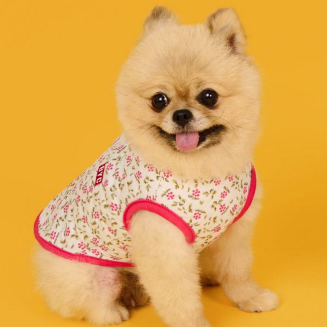 [BYC-S] 업그레이드 출시 2025 BYC 반려견용 개리야스 김장조끼 ODA0005, W3(와인)