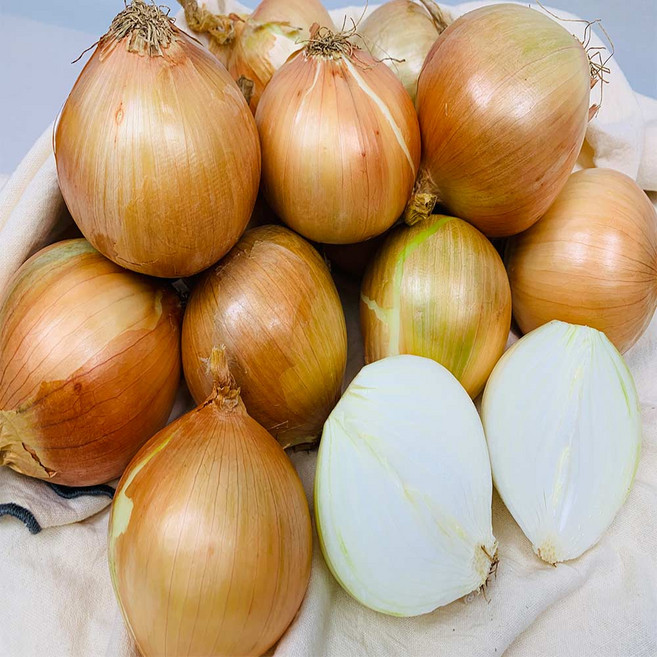 농부곳간 황토밭에서 키운 전남 무안 햇 양파, 1개, 양파 1kg 중