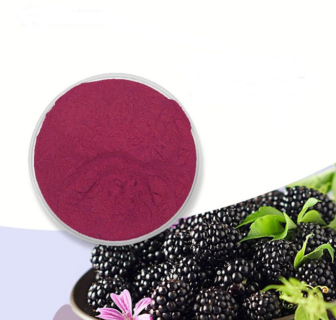복분자추출분말 100g 샘플, 1개, 상세페이지 참조