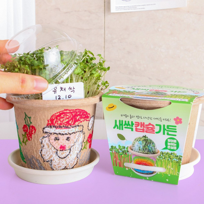 세경팜 새싹 캡슐 가든 유채싹 식물 키트, 1개