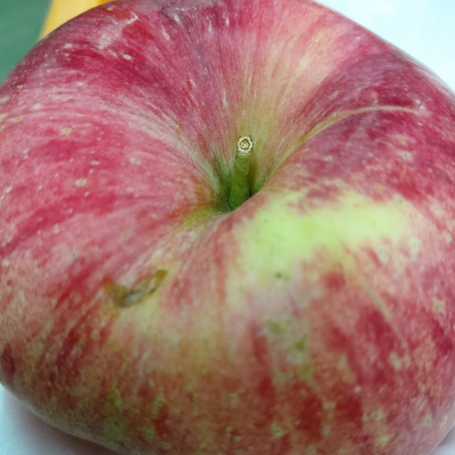 햇살농원 껍질째 먹는 충주 고당도 사과, 흠과5kg(굵기선별없음), 1박스