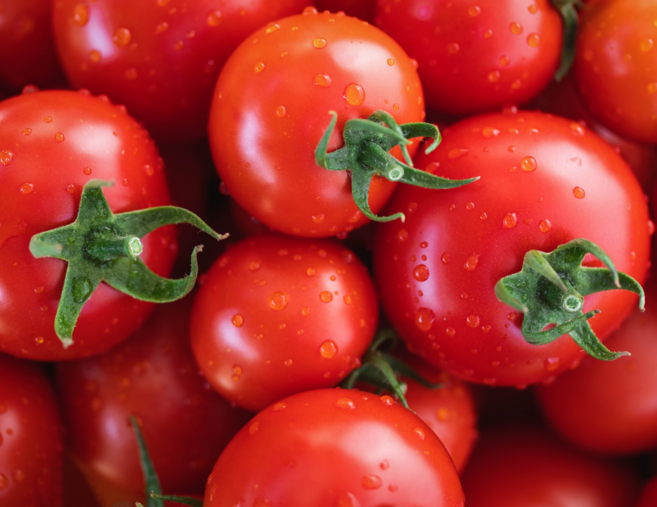 [제철상회] 당일수확 15bix 스테비아 방울토마토, 2개, 500g