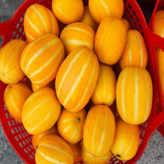 [당도보장] 꿀뚝뚝 성주 참외 가정용 혼합과 벌꿀농장 햇살과 정성가득 재배 산지직송, 1박스, 혼합과3kg