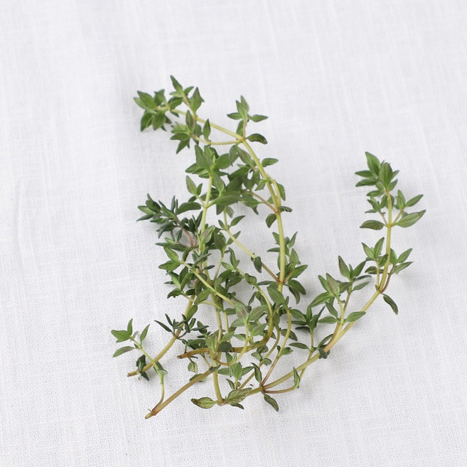 데코용타임 허브생잎 커먼타임, 50g, 1개