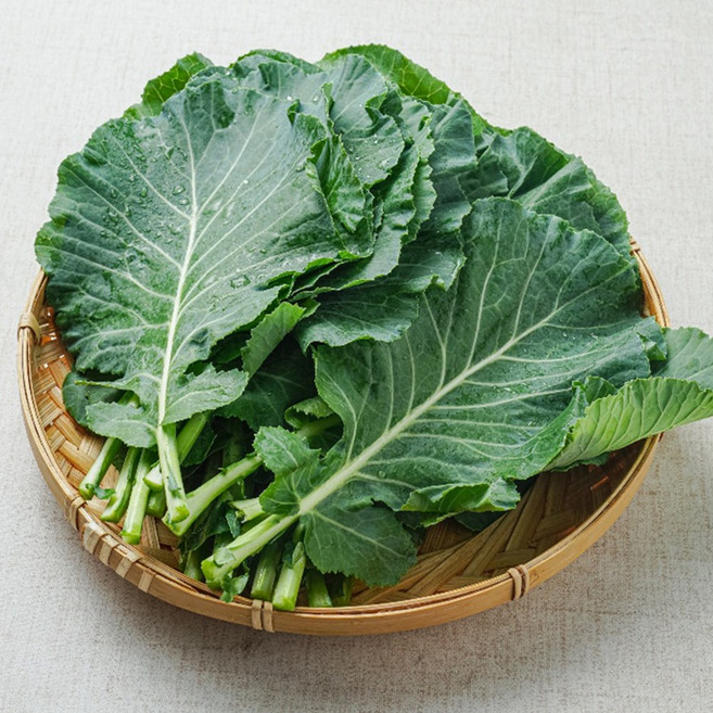 케일 쌈용 프리미엄 채소 웰빙 건강채소 케일, 500g, 1개