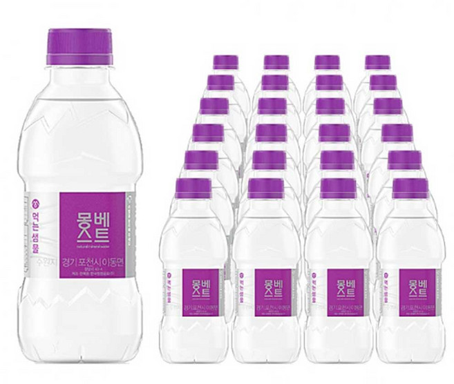 몽베스트 생수, 330ml, 48개