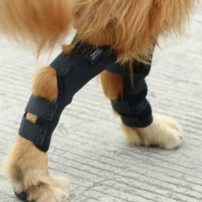 디파워샵 강아지 슬개골 관절 다리 보호대