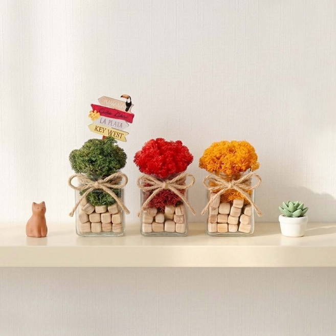 꽃순이 스칸디아모스 공기정화 식물 인테리어소품, 1세트, A타입