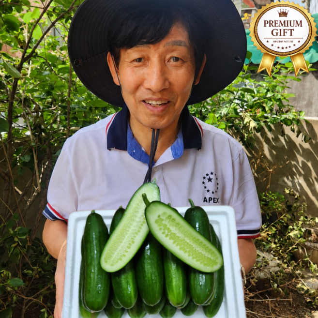[상위1%] 산지 직송 아삭한 스낵 꼬마 미니오이, 1박스, 500G