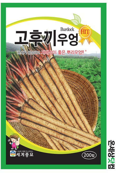 고후끼우엉 200립 / 웰빙채소 우엉씨앗 주말농장 텃밭키우기, 1개
