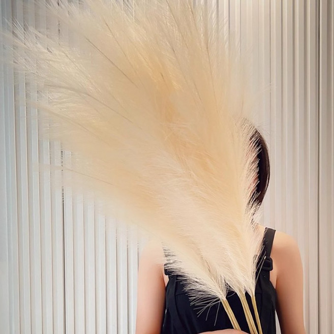 아이레노 대형 인조갈대 5P 조화 인테리어소품 공간 장식 자연 분위기, 1개, 연 베이지