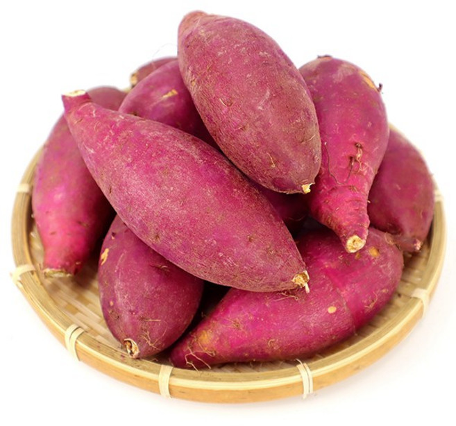 [오늘 야채]국내산 꿀고구마, 1박스, 10kg(한입)