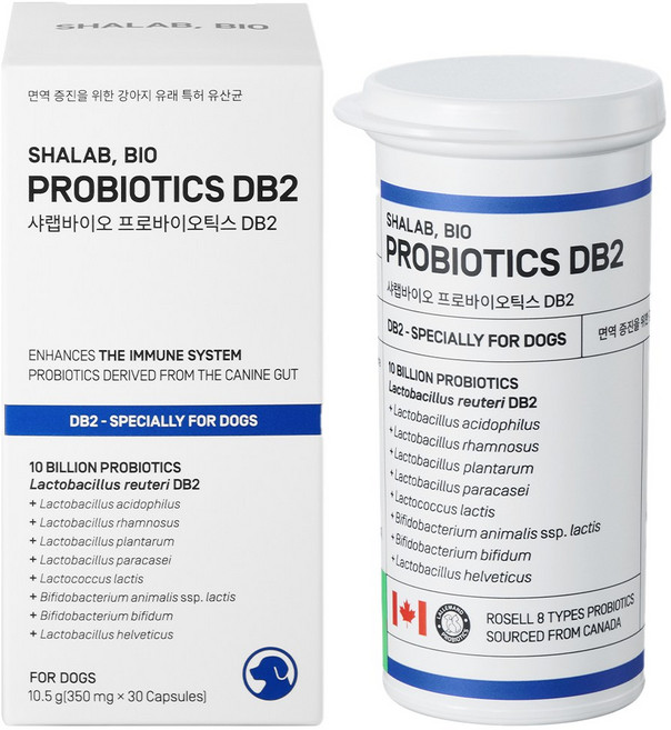 샤랩바이오 강아지 유산균 면역 프로바이오틱스 DB2 영양제 30캡슐, 30회분, 장건강/유산균, 1개