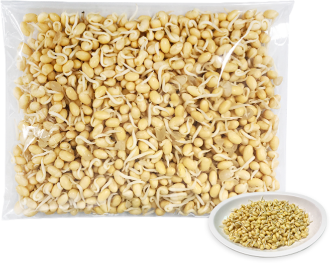 홍홍 중국식품 중국콩싹 500g 중국콩나물 또야 콩나물콩, 1개