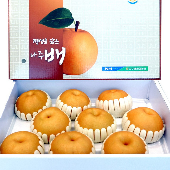 셀링크 농협 고당도 나주배 가정용 선물용 세트, 셀링크 나주배(11-13과) 특품선물용, 1박스, 7.5kg