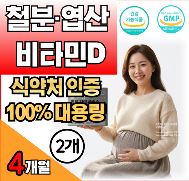데일업 철분 엽산 비타민D 비타민B12 구리 복합 기능성 건강기능식품 여성 빈혈 임산부, 2박스, 60정