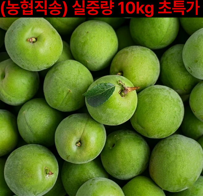 (광양 순천농협) 초고당도 프리미엄 청매실, 1개, 10kg 왕특대