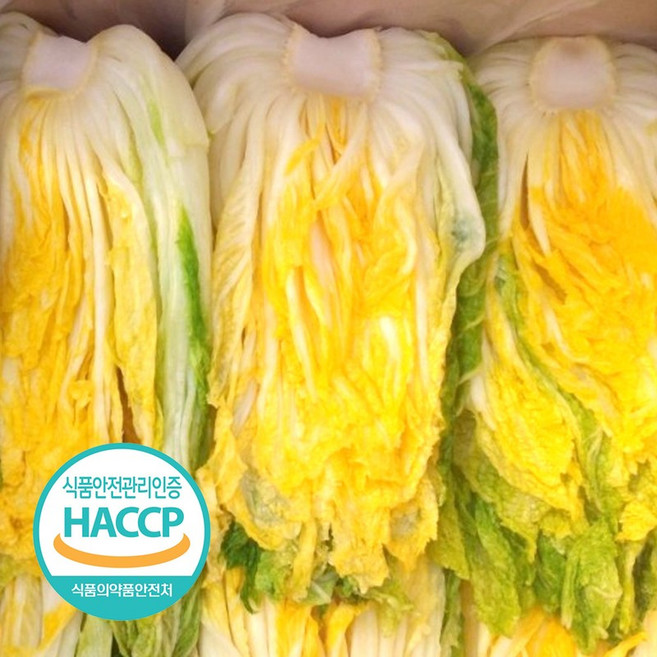 해썹 강원도 절임 배추 20kg 7-10포기 절인 김장 김치 인제