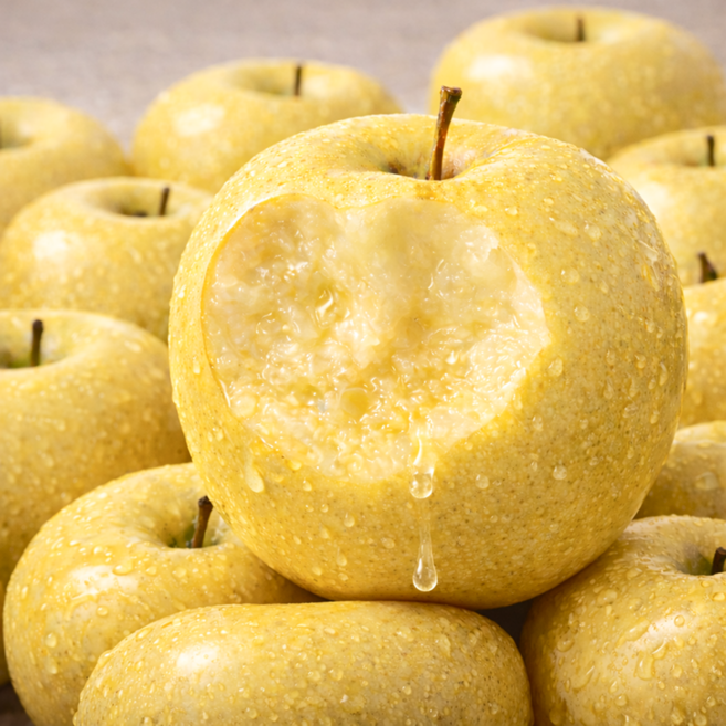 [노마진초특가] 과즙폭탄 가정용 시나노골드 사과, 1박스, 2kg