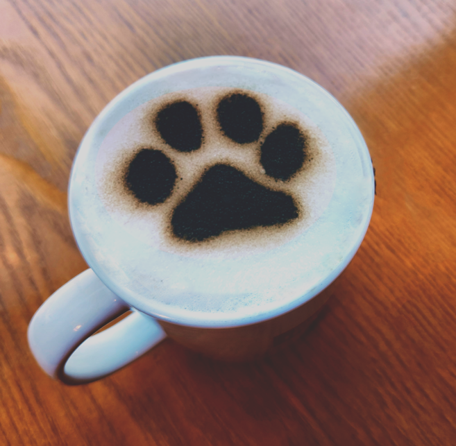 베이킹툴 스텐실 라떼아트틀 크리스마스 카페이벤트 멍푸치노, 기본 디자인, 곰돌이, 1개