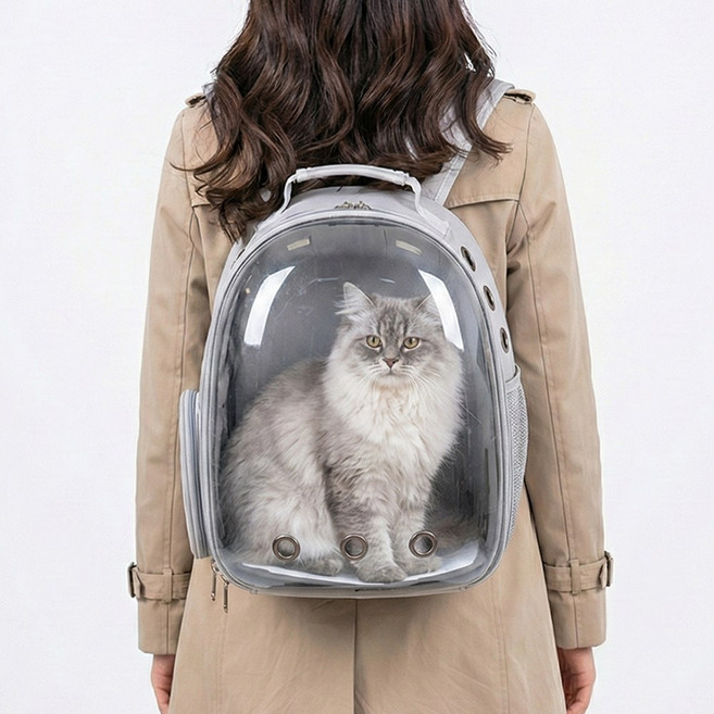 푸키 반려동물 투명 이동가방 우주선 백팩, 1개, 그레이