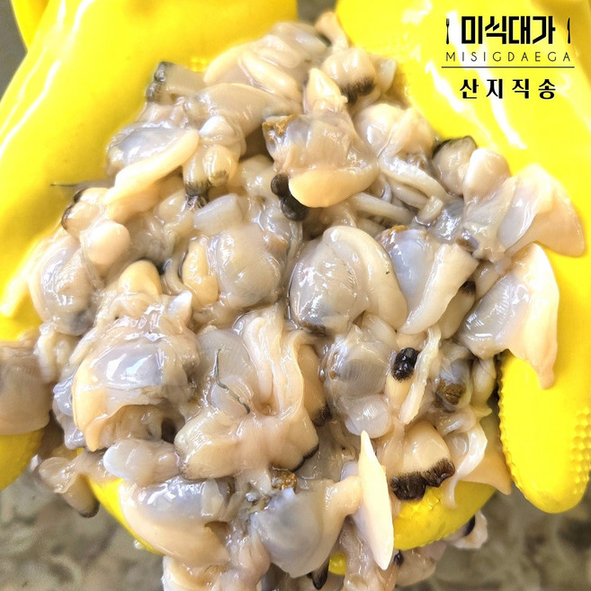 [당일손질] 남해 바지락 깐 바지락살 생물, 1개, 500g