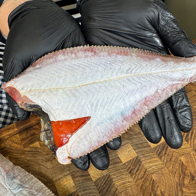 통수산 국내산 손질 제철 반건조 대왕 알가자미 기름가자미, 1개, 반건조알가자미1kg(중대5-6미)