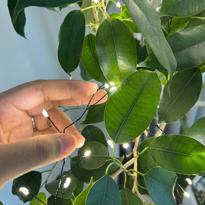 선세이브 LED 와이어 지네 전구 200구, 블랙코팅, 주광색(백색)+정류기(전원)+리모컨 세트