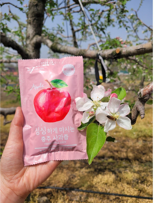 (120ml 100팩) 충주사과즙, 50개, 120ml