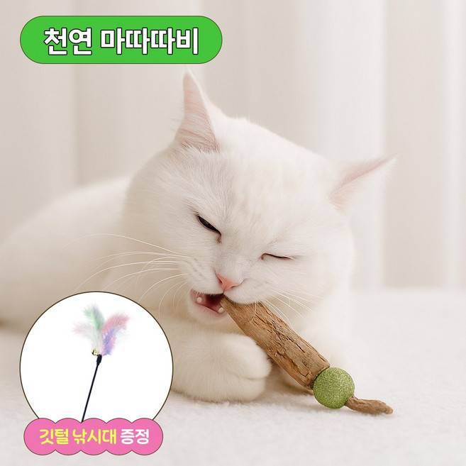 [MSMULTIVERSE] 고양이 마음 몰라도 이건 산다 고양이 캣닢 볼 이갈이 스틱+사은품, 혼합, 1개