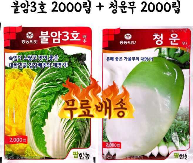 [프리미엄 김장세트] 불암3호 배추 + 청운무 (각 2 000립), 1개
