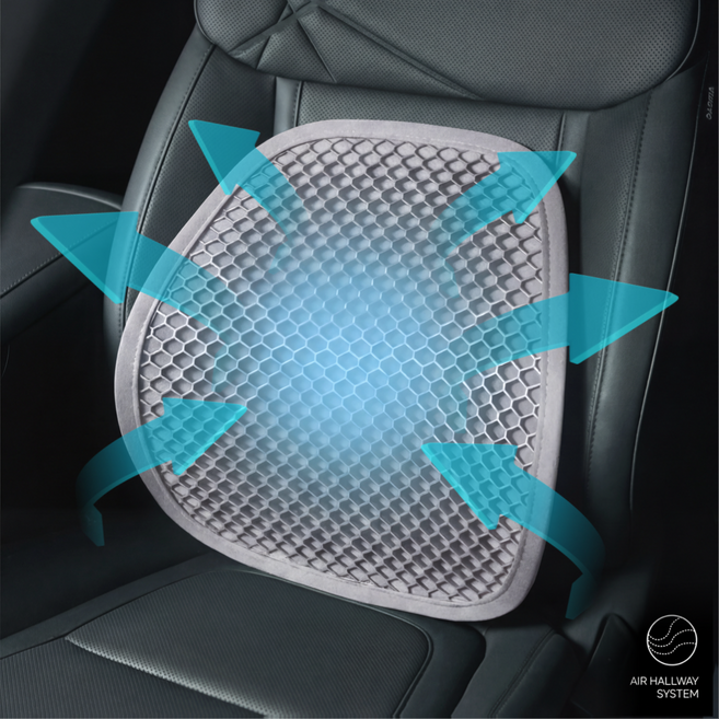 [장시간 운전 최적화]밸런스카 사계절 차량용 허리쿠션, 1개, 크림베이지