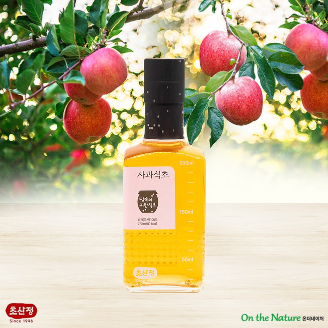 사과식초 270ml / 여자한테 추천 식초 / 초산정 한상준 식초, 1개