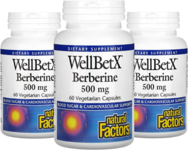 Natural Factors WellBetX 베르베린 500mg / 당뇨 당 수치 조절 개선 완화 영양제, 3개, 60정 - 쿠팡